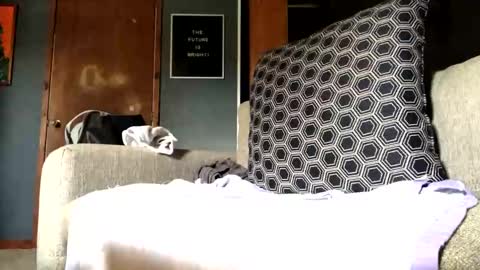 Jaws  online show from 09/10/25, 07:25