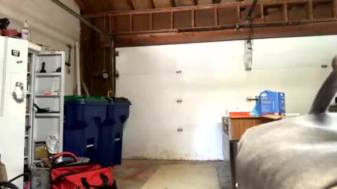 Snapshot of jawssharkparty chatting on 09/12/25, 07:36 Jaws online show from 09/12/25, 07:36