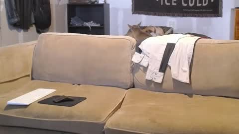 O F   jay short786 online show from 02/19/25, 03:16