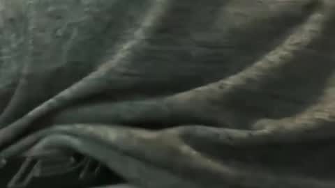 jaynike15 online show from 05/20/26, 05:46
