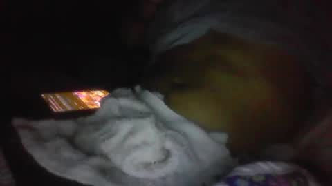 Snapshot of jaywulf22 chatting on 01/19/26, 05:11 jaywulf22 online show from 01/19/26, 05:11