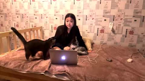 Snapshot of jeannettavidro chatting on 11/18/25, 03:05 jeannettavidro online show from 11/18/25, 03:05