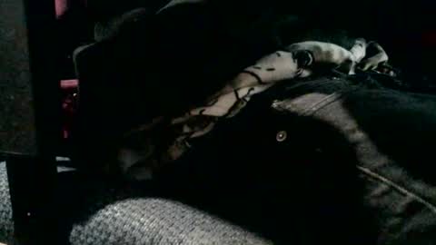 Snapshot of jebblynch42 chatting on 02/19/26, 04:47 JJ Banks online show from 02/19/26, 04:47