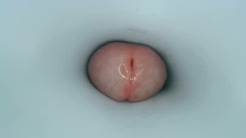 Snapshot of jeffrodgerschaturbat chatting on 01/11/25, 12:50 jeffrodgerschaturbat online show from 01/11/25, 12:50