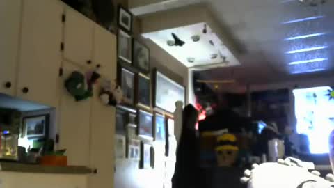 Snapshot of jello9 chatting on 07/20/26, 01:24 Jello9 online show from 07/20/26, 01:24