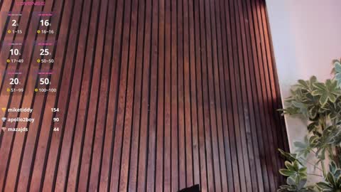     online show from 01/23/25, 03:22