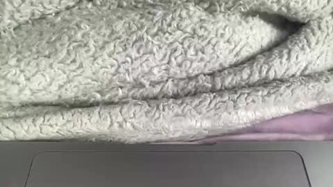 Snapshot of jerking1981 chatting on 01/01/25, 04:50 jerking1981 online show from 01/01/25, 04:50