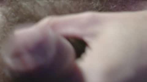 Snapshot of jerkingtyce chatting on 05/03/26, 03:12 jerkingtyce online show from 05/03/26, 03:12