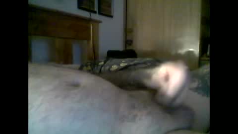 jerkmate6666 online show from 11/22/25, 09:25
