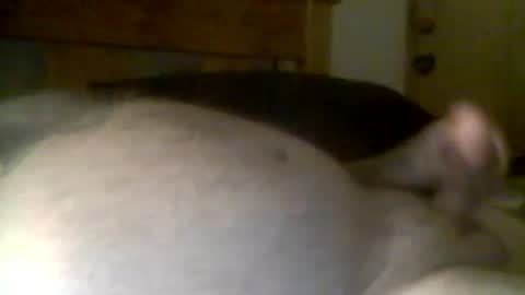 jerkmate6666 online show from 04/21/26, 11:49