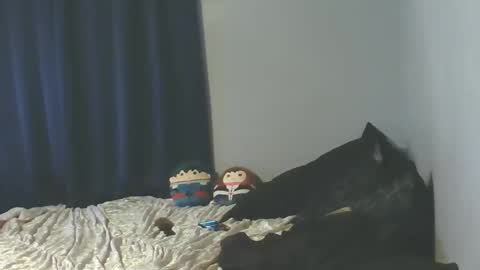 Snapshot of jessicacastro760 chatting on 01/08/26, 06:05 Sissy Jessica online show from 01/08/26, 06:05