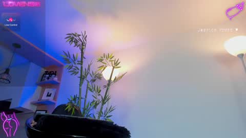 Snapshot of jessicapratt chatting on 02/25/25, 11:11 Jessica Pratt IG jessicaxpratt online show from 02/25/25, 11:11