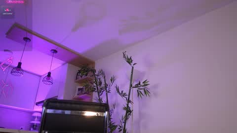 Snapshot of jessicapratt chatting on 03/08/26, 12:19 Jessica Pratt IG jessicaxpratt online show from 03/08/26, 12:19