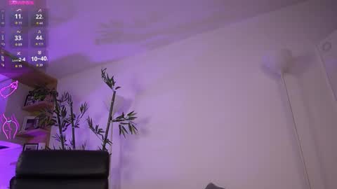 Snapshot of jessicapratt chatting on 03/08/26, 02:04 Jessica Pratt IG jessicaxpratt online show from 03/08/26, 02:04