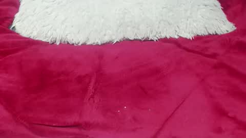 jessy online show from 11/25/25, 12:43