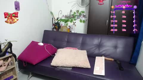 Snapshot of jezabel_purple chatting on 12/02/24, 01:24 Camila online show from 12/02/24, 01:24