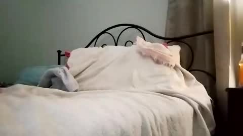 Jimz14u online show from 01/04/25, 03:18