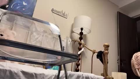 Snapshot of jingyan666 chatting on 02/04/26, 02:45 meng meng online show from 02/04/26, 02:45