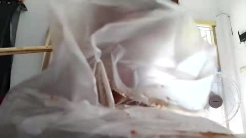 jira1730 online show from 09/25/25, 09:35