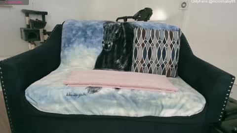 Nicole  Allen online show from 01/01/25, 10:24