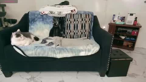 Nicole  Allen online show from 02/13/25, 12:46