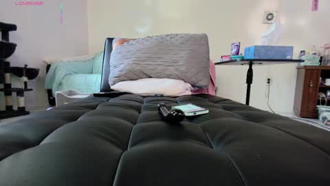 Nicole  Allen online show from 09/18/25, 10:01