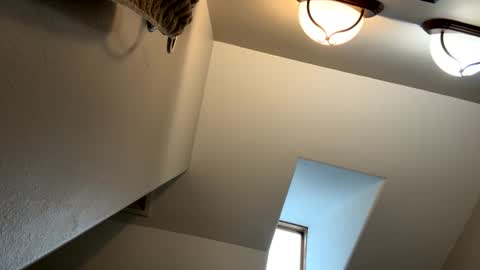 Jimmy online show from 02/03/25, 05:14