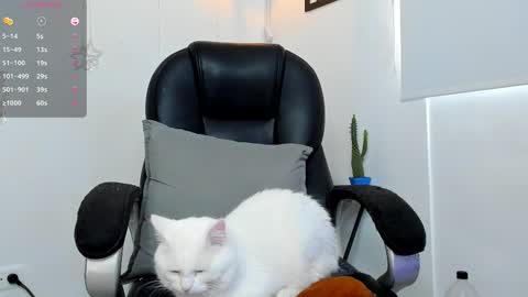 IGJmortton online show from 12/01/25, 02:33