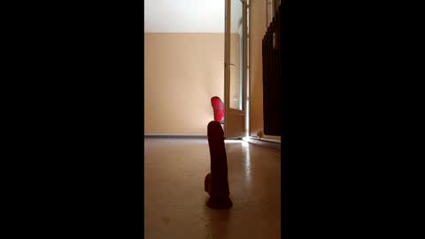 Snapshot of jobi88 chatting on 04/05/26, 11:51 jobi88 online show from 04/05/26, 11:51