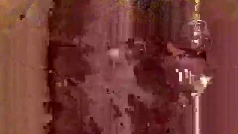 Snapshot of jodlsepp chatting on 12/12/24, 11:47 jodlsepp online show from 12/12/24, 11:47