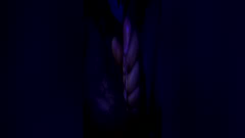 Snapshot of johnbruce23 chatting on 06/25/26, 11:37 johnbruce23 online show from 06/25/26, 11:37