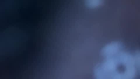 JOHN online show from 11/14/25, 11:02