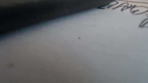 johnnyssunshine online show from 10/25/25, 02:35