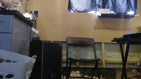 Snapshot of johnplayer23 chatting on 12/22/25, 04:59 johnplayer23 online show from 12/22/25, 04:59