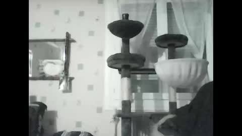 jojo60000529566 online show from 01/08/25, 07:13