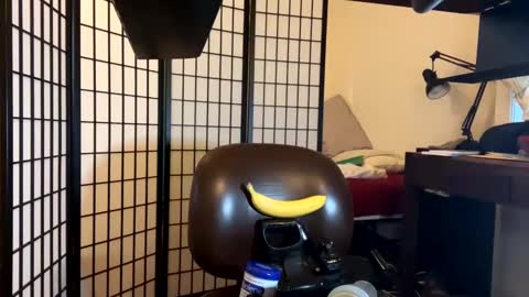 jondoe3657 online show from 01/23/25, 03:58