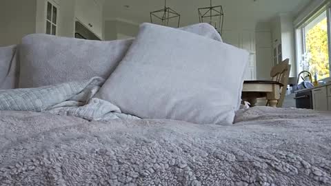 Snapshot of jonesy420xoo chatting on 10/08/25, 11:24 jonesy420xoo online show from 10/08/25, 11:24