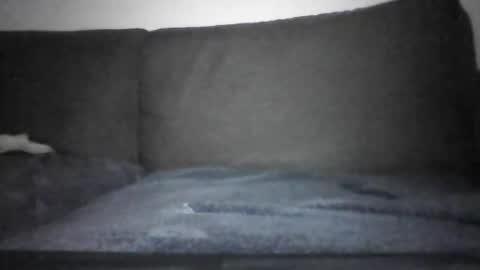 Snapshot of josei_h chatting on 12/12/24, 07:15 Hentai Jo online show from 12/12/24, 07:15