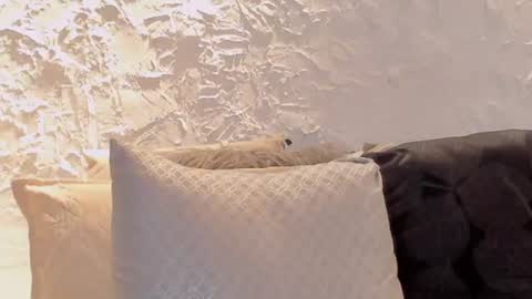 Snapshot of joselin_rouse chatting on 07/06/26, 03:03 joselin online show from 07/06/26, 03:03