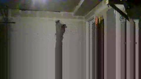 Snapshot of josephung1 chatting on 10/14/25, 06:36 sissy josphine online show from 10/14/25, 06:36