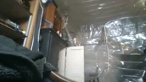 Snapshot of josephung1 chatting on 11/28/25, 05:32 sissy josphine online show from 11/28/25, 05:32