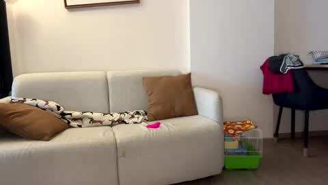 josh_xo online show from 11/30/25, 12:25