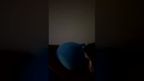 Snapshot of joshua_b11 chatting on 03/28/26, 06:46 joshua_b11 online show from 03/28/26, 06:46