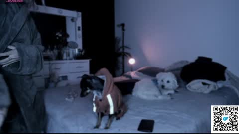 josephine   independent model    online show from 01/21/25, 05:49