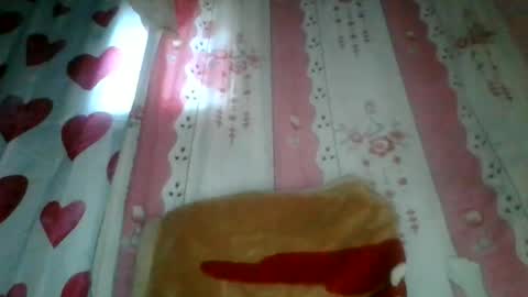 josy918592 online show from 06/17/26, 03:53