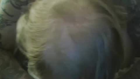 John T and Cynt online show from 05/16/26, 02:19