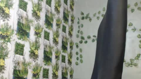 Snapshot of juicy_gold22 chatting on 12/09/24, 11:58 Mariagold online show from 12/09/24, 11:58