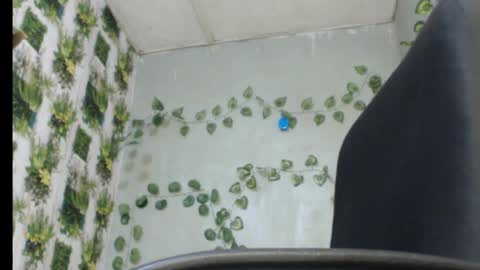 Snapshot of juicy_gold22 chatting on 02/13/25, 01:19 Mariagold online show from 02/13/25, 01:19