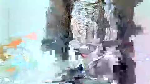 Snapshot of juicyebonitaa chatting on 11/04/25, 06:45 juicyebonitaa online show from 11/04/25, 06:45