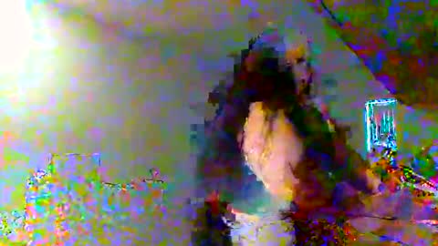 Snapshot of juicylatinabbw chatting on 02/20/26, 04:07 juicylatinabbw online show from 02/20/26, 04:07